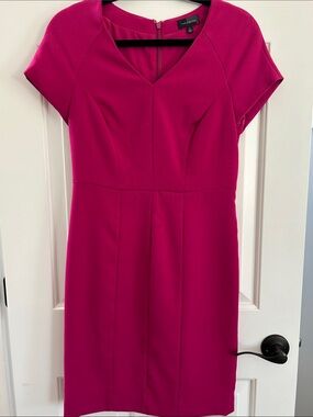 2 The Limited Fuchsia Sheath Dress